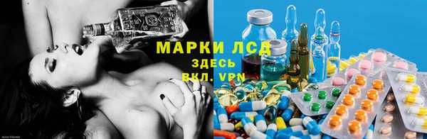 трава Белокуриха