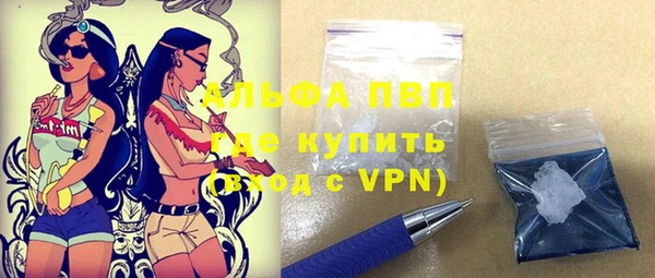 трава Белокуриха