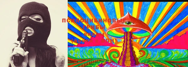 трава Белокуриха