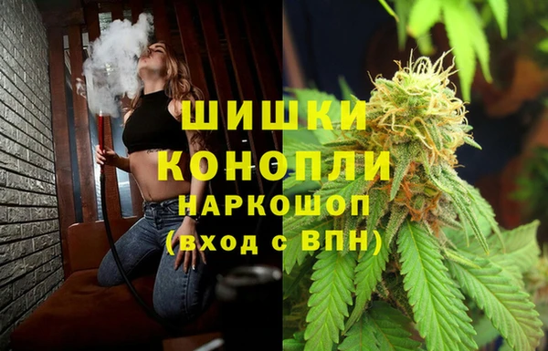 трава Белокуриха